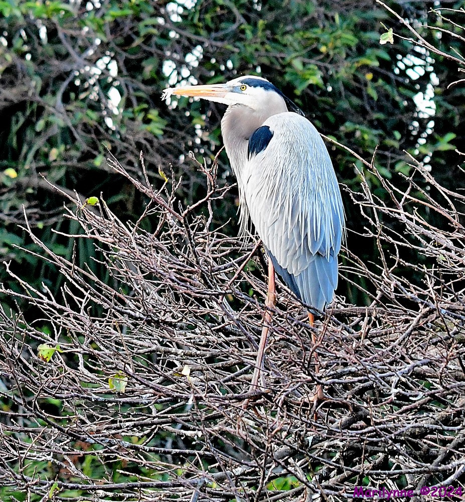 DSC_3854_001.JPG