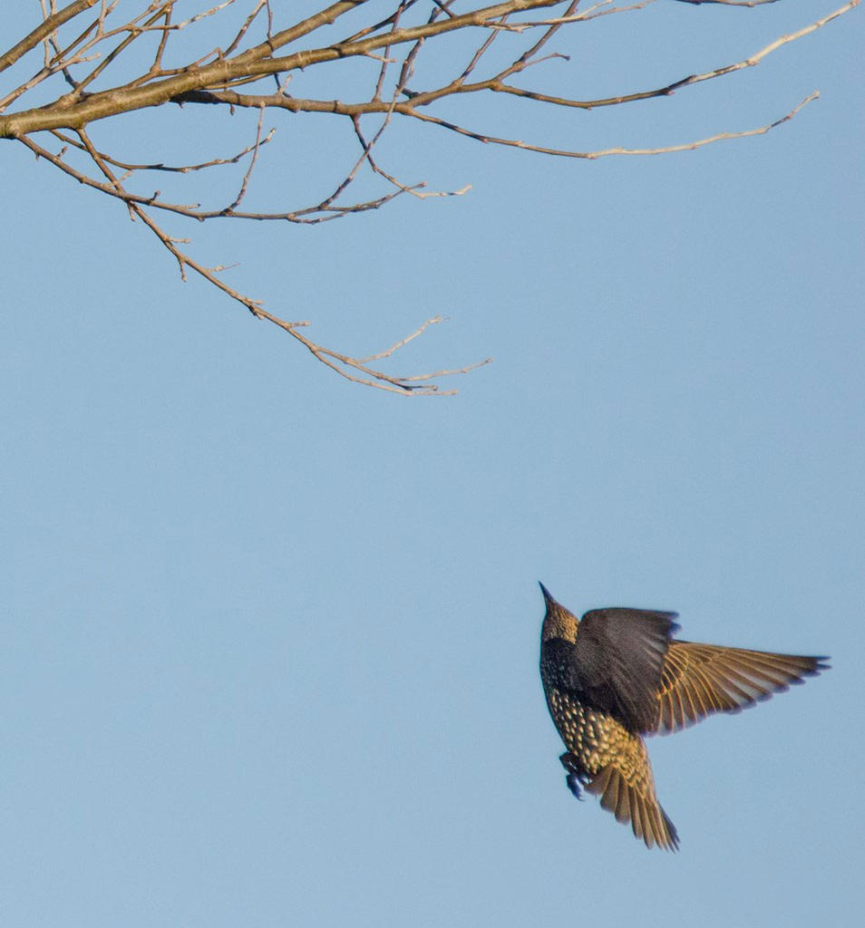 dsc_3855_11046488763_o.jpg