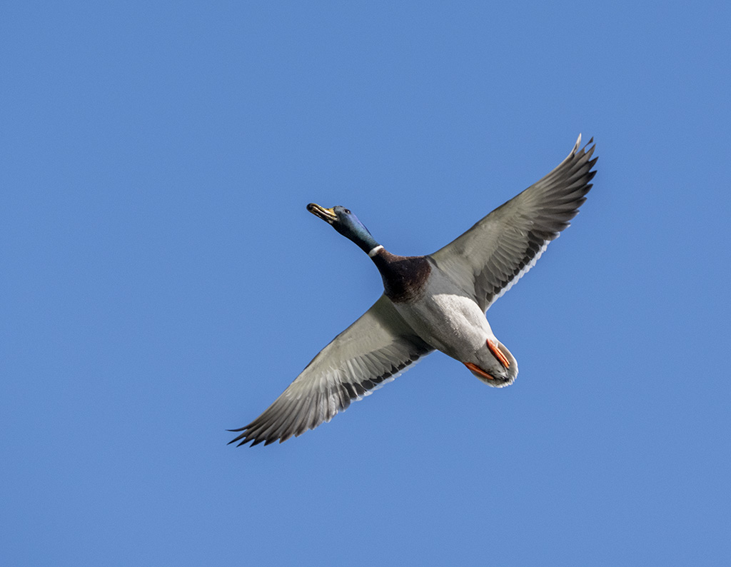 DSC_3857.jpg