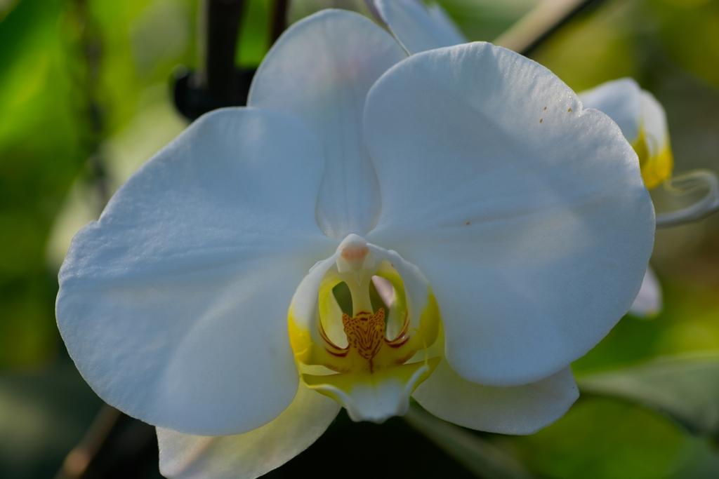DSC_3859.jpg