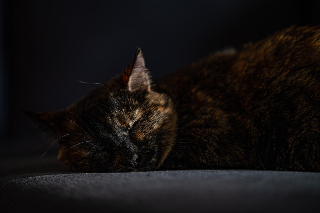 DSC_3859.jpg