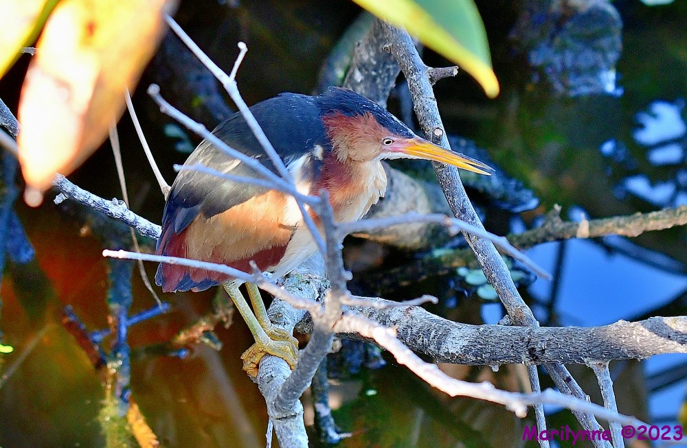 DSC_3860_001.JPG
