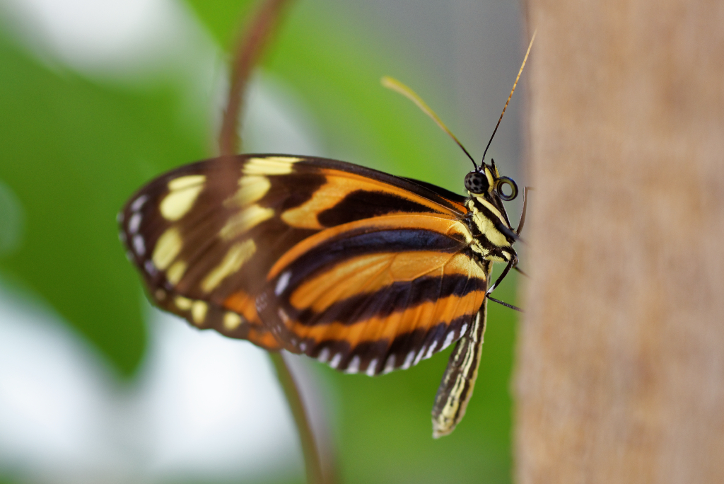 DSC_3860_DxO.jpg