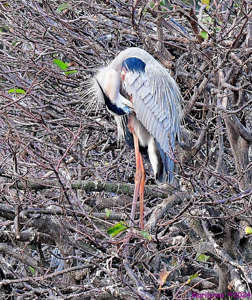 DSC_3861_001.JPG