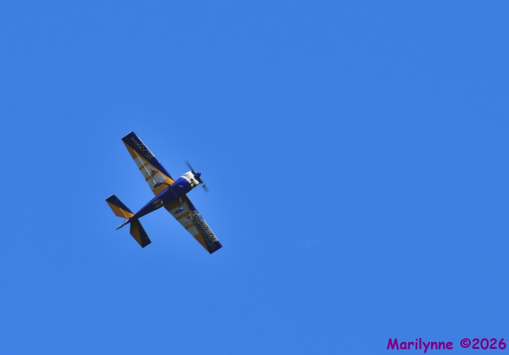 DSC_3863_001.JPG