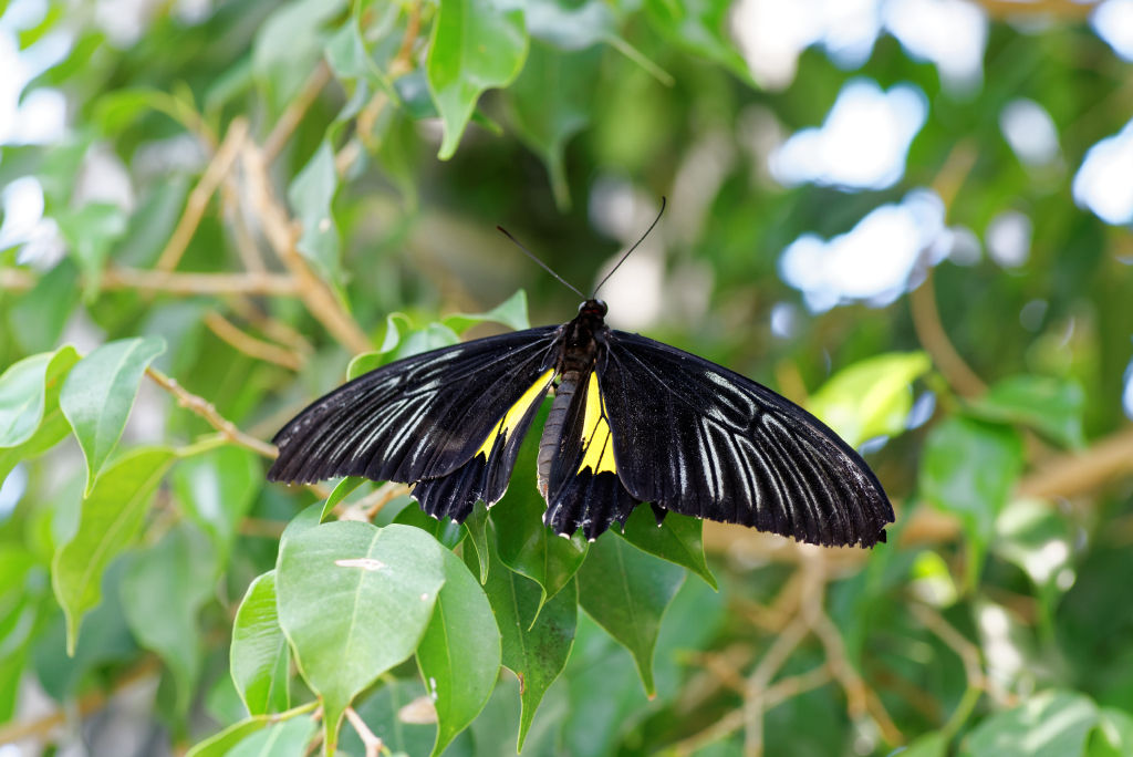 DSC_3866_DxO.jpg