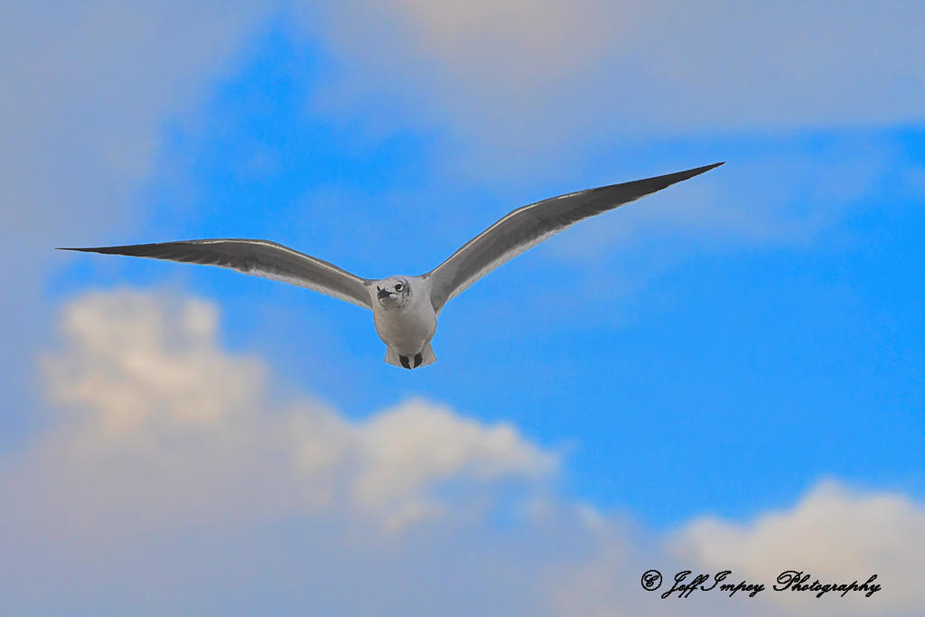 DSC_3872.jpg