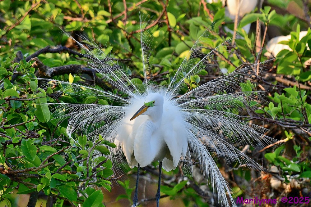 DSC_3874_001.JPG