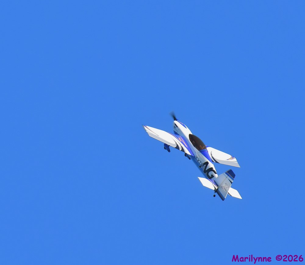DSC_3876_001.JPG
