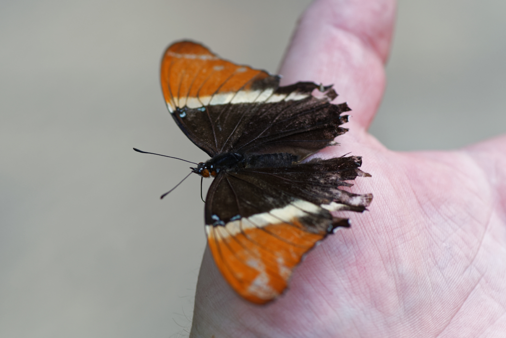 DSC_3876_DxO.jpg