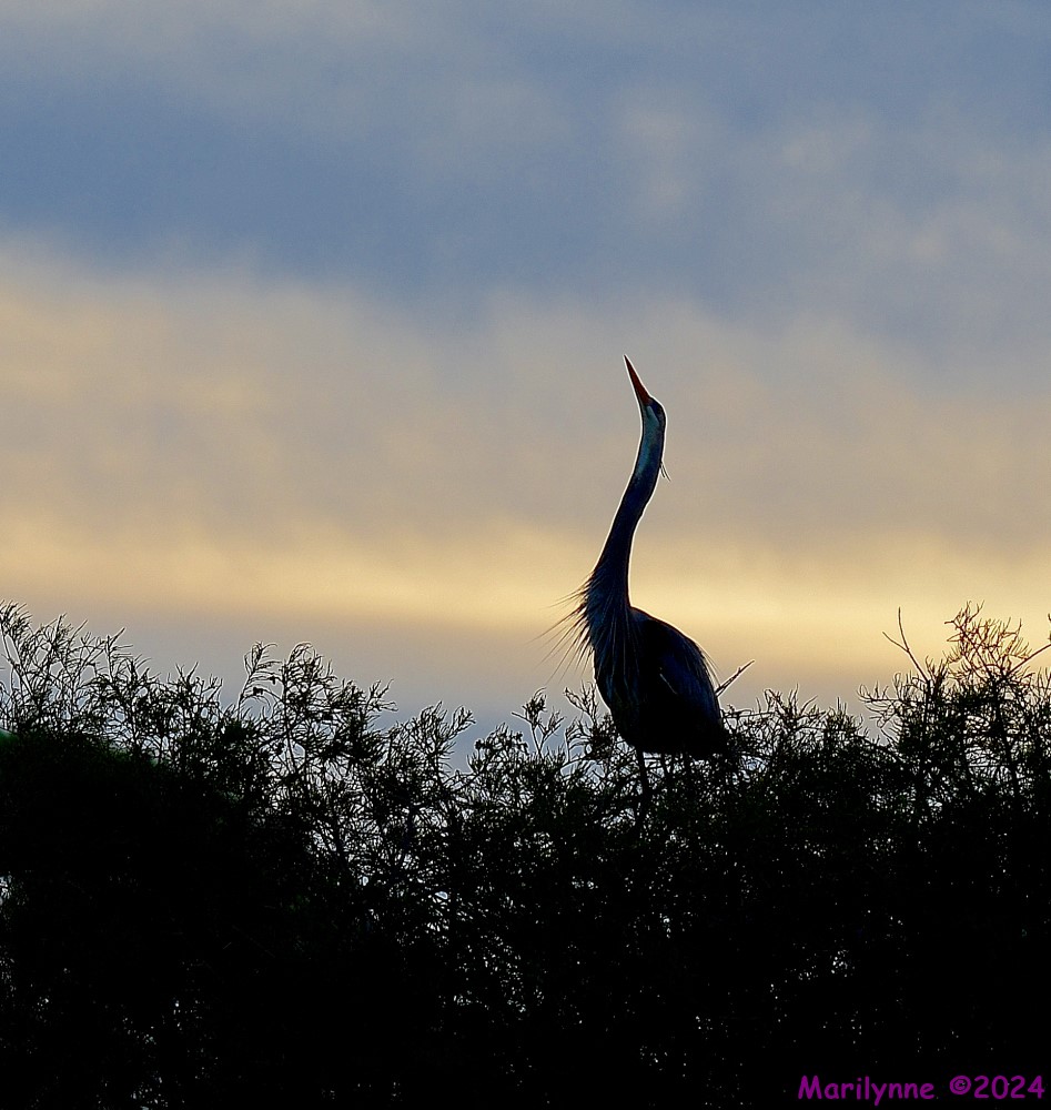 DSC_3877_001.JPG
