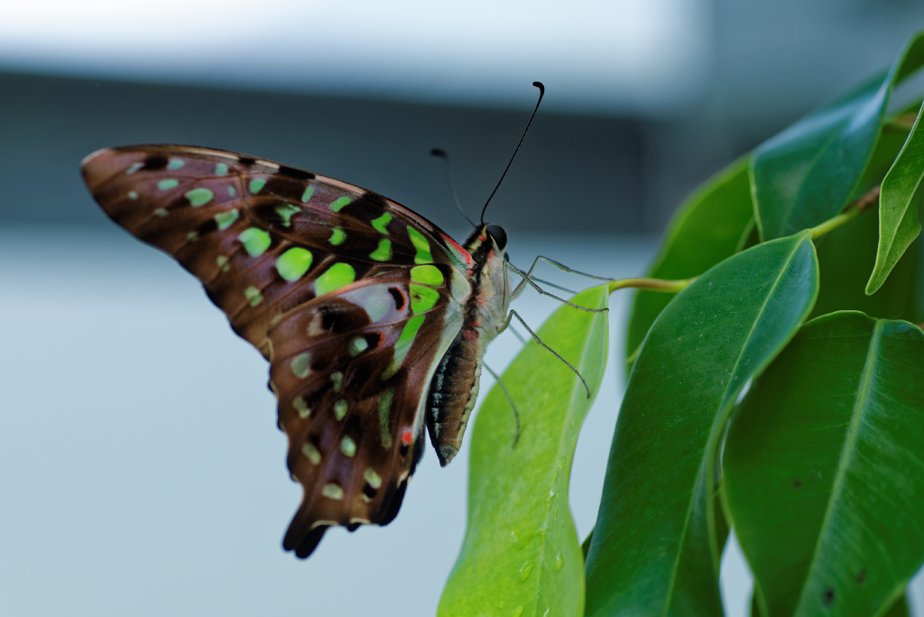 DSC_3877_DxO.jpg