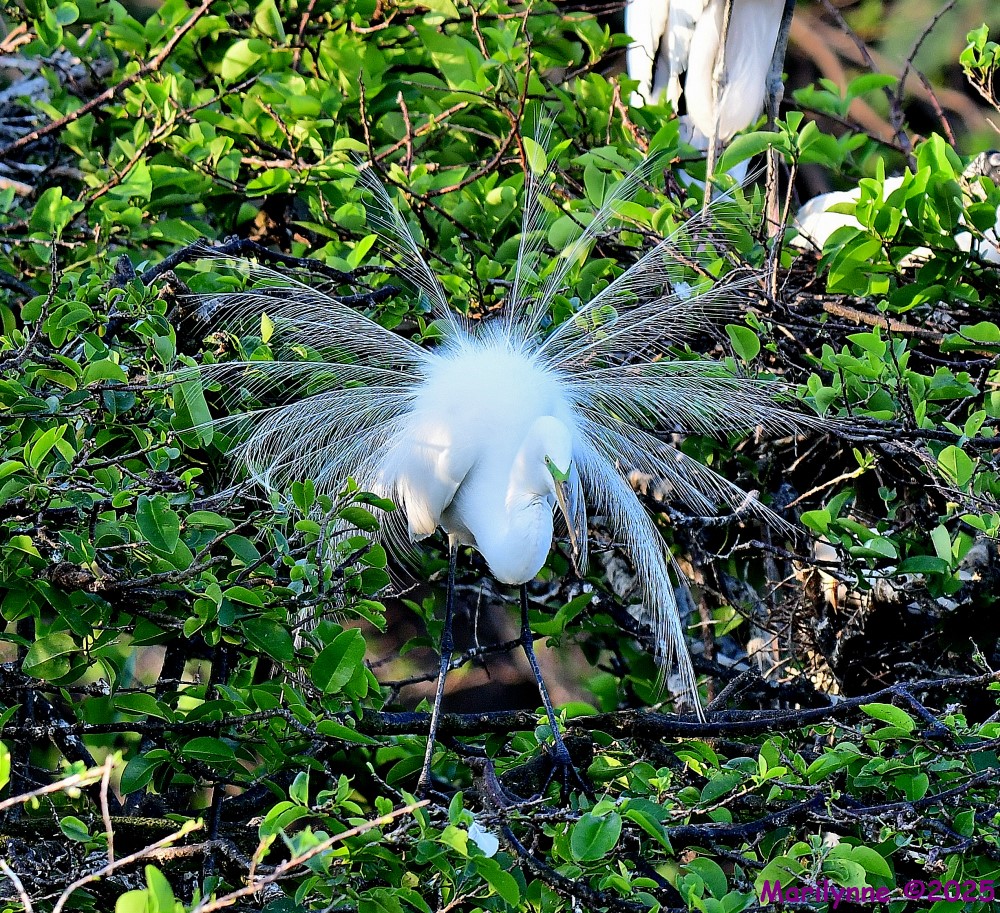 DSC_3880_001.JPG