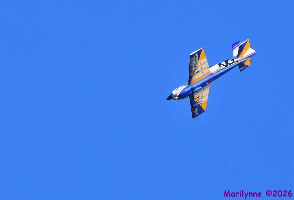 DSC_3880_001.JPG