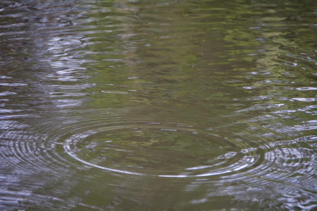 DSC_3889.jpg
