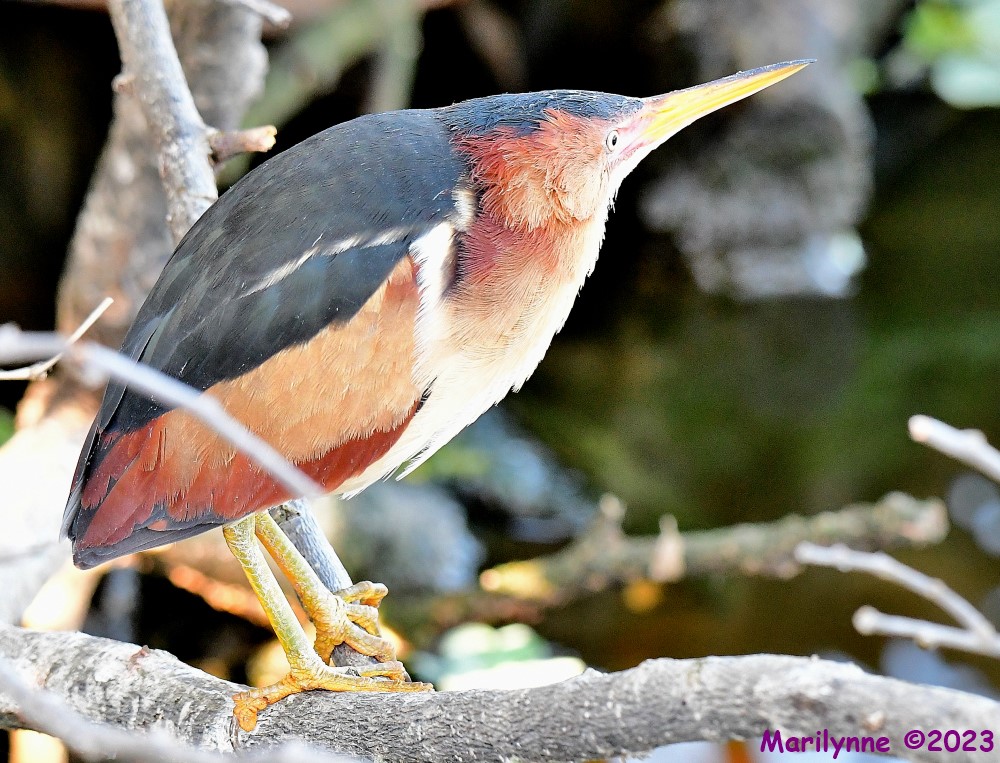 DSC_3892_001.JPG