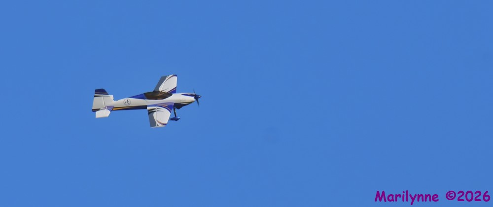 DSC_3895_001.JPG