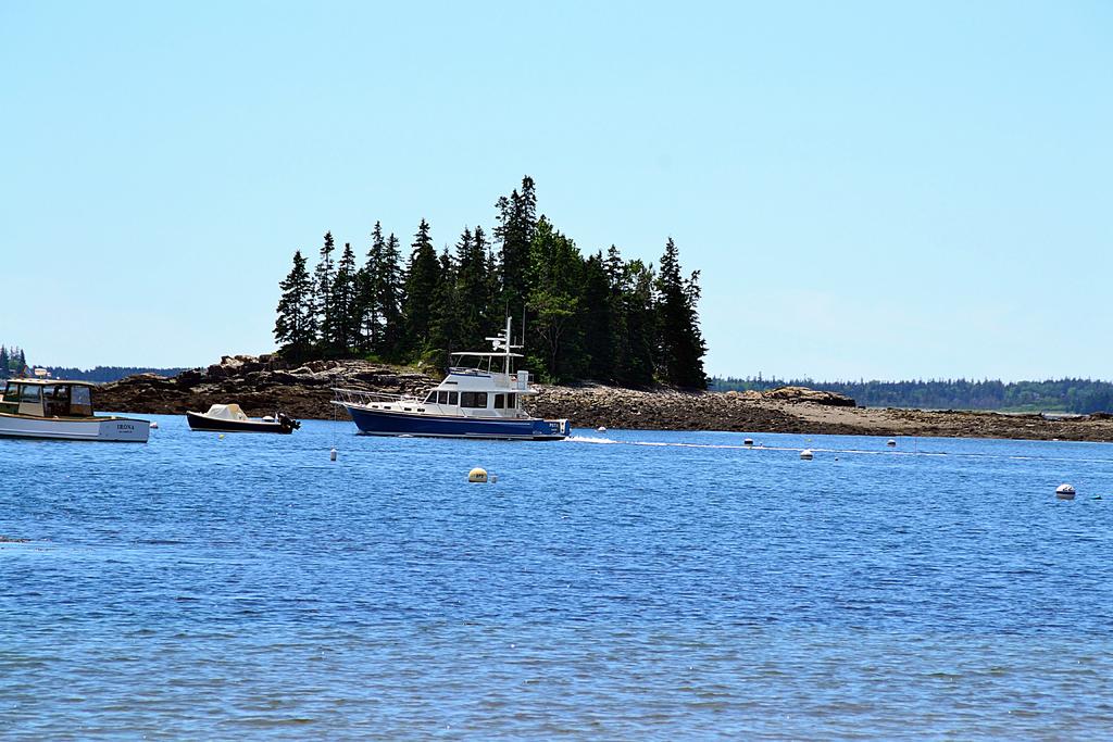 DSC_3896.jpg