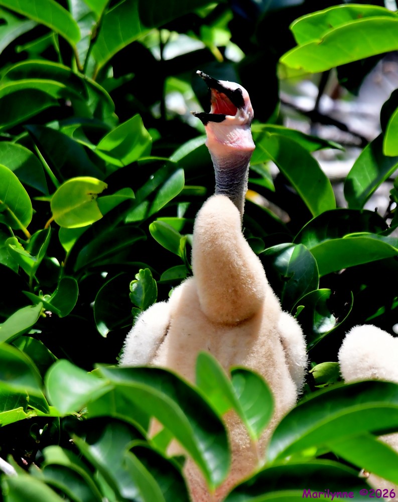 DSC_3898_001.JPG
