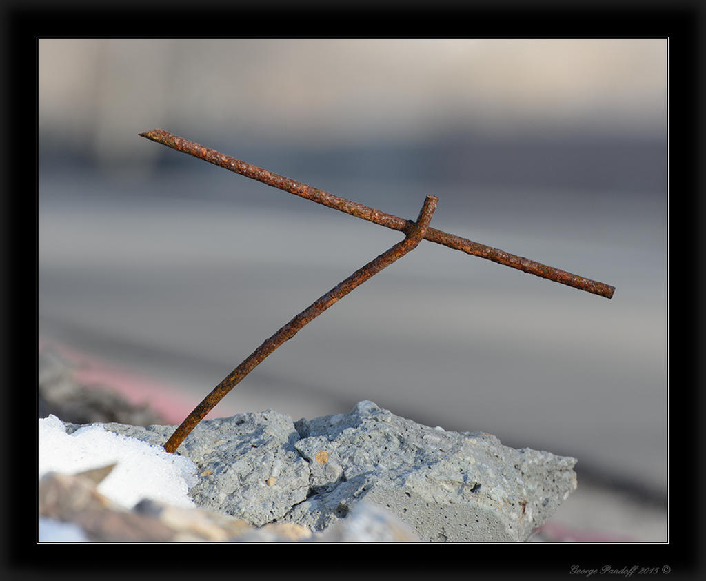 DSC_3899.jpg