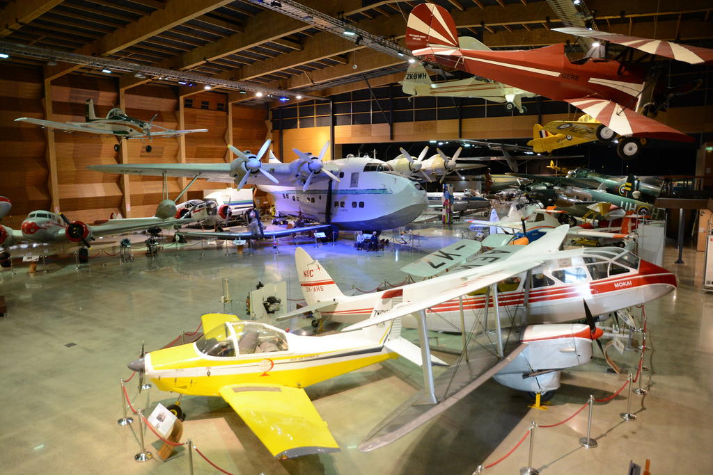 DSC_3902.jpg