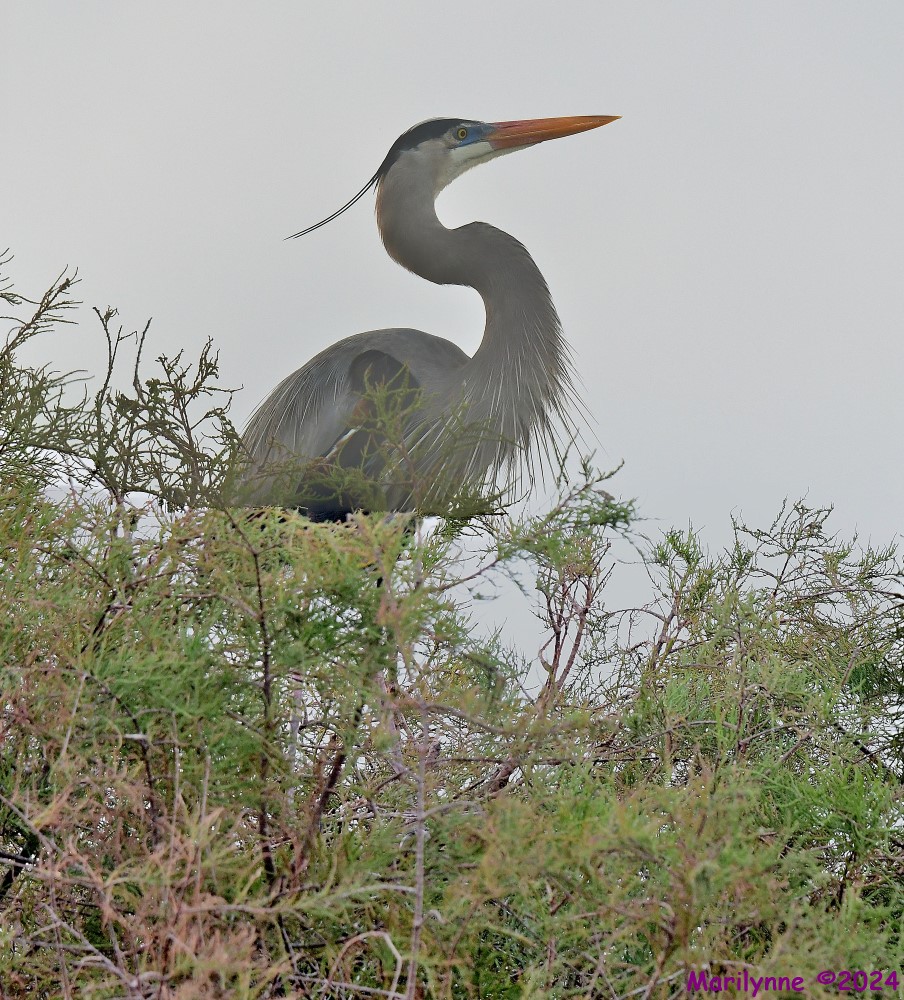 DSC_3902_stitch3_001.JPG