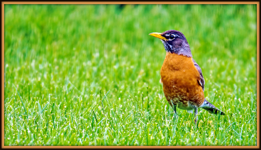 DSC_3904.jpg