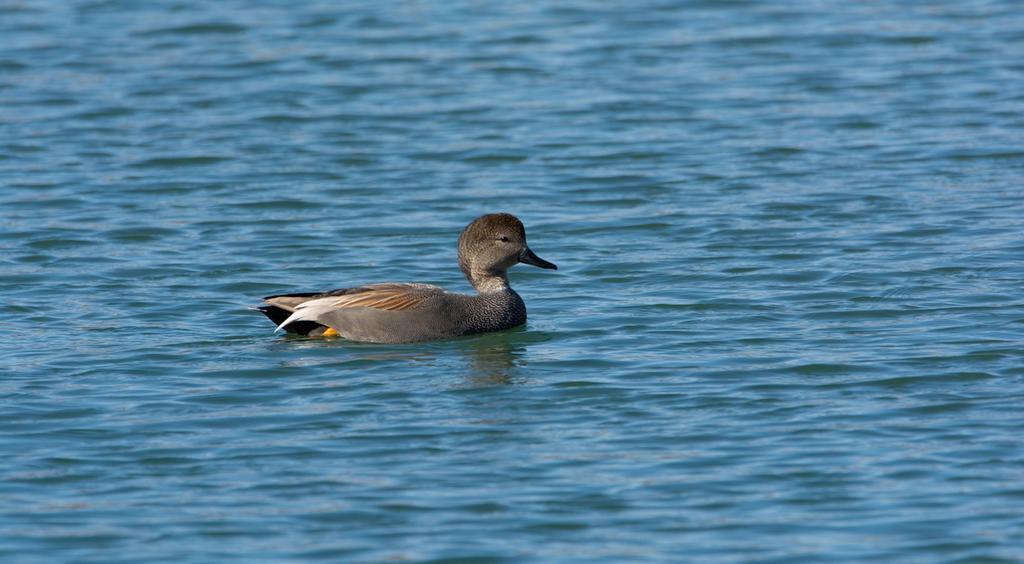 DSC_3904.jpg