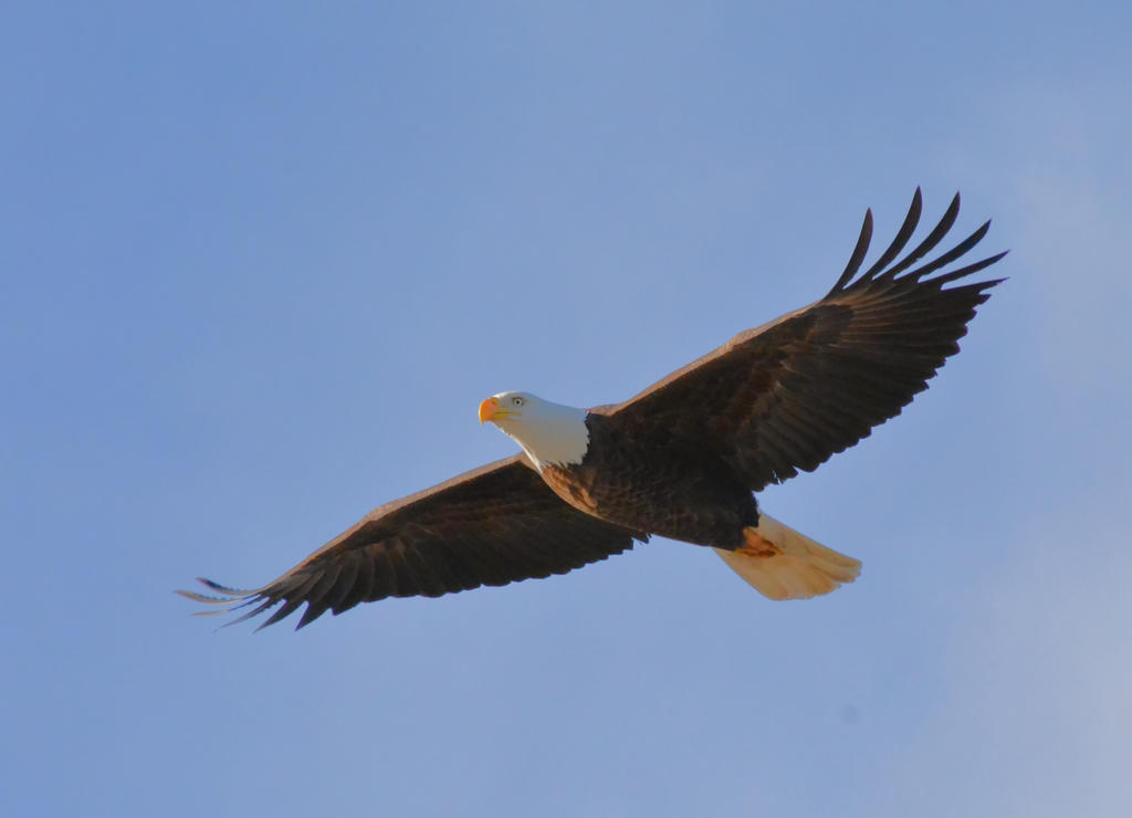 DSC_3904.jpg