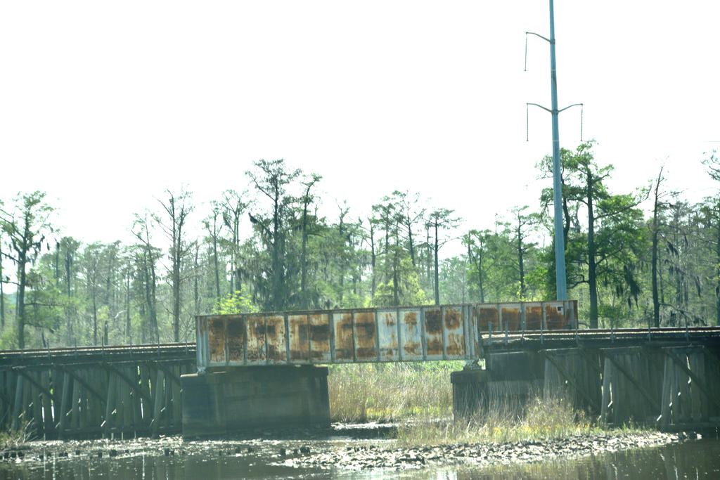 DSC_3905.jpg