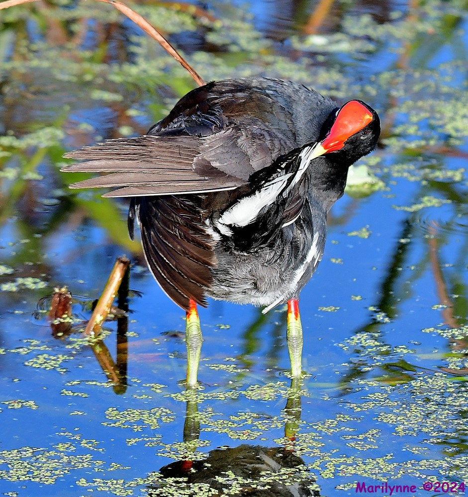 DSC_3906_001.JPG