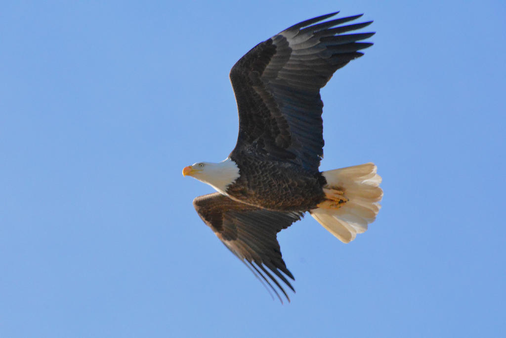 DSC_3907.jpg