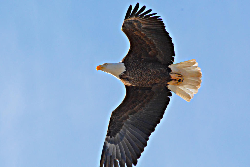 DSC_3908.jpg
