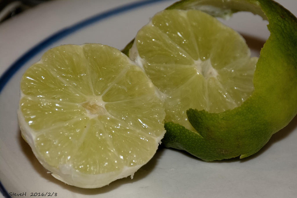 DSC_3912.jpg