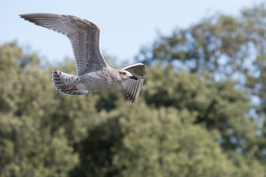 DSC_3913.jpg
