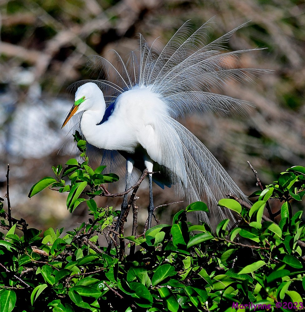 DSC_3914_001.JPG