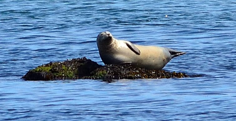 DSC_3915.JPG