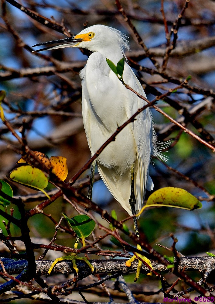 DSC_3916_001.JPG