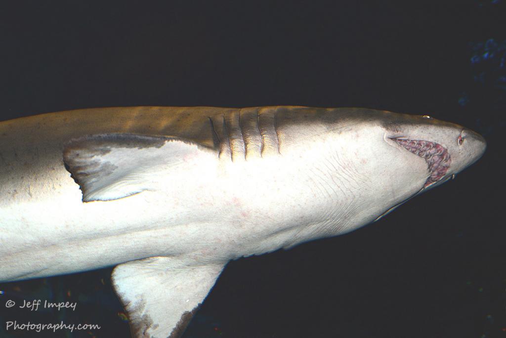 DSC_3917.jpg