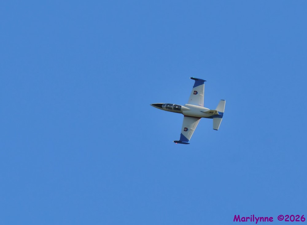 DSC_3917_001.JPG
