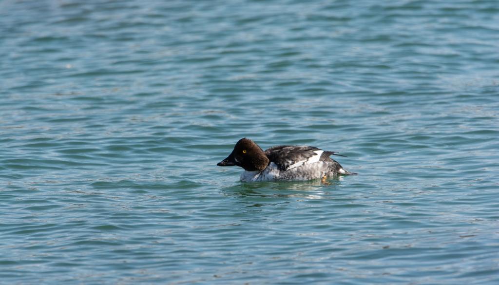 DSC_3918.jpg
