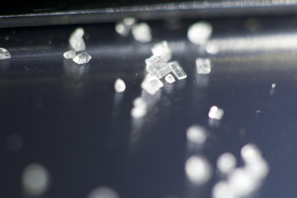 DSC_3920.jpg