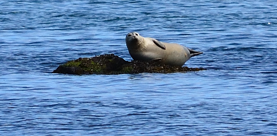 DSC_3921.JPG