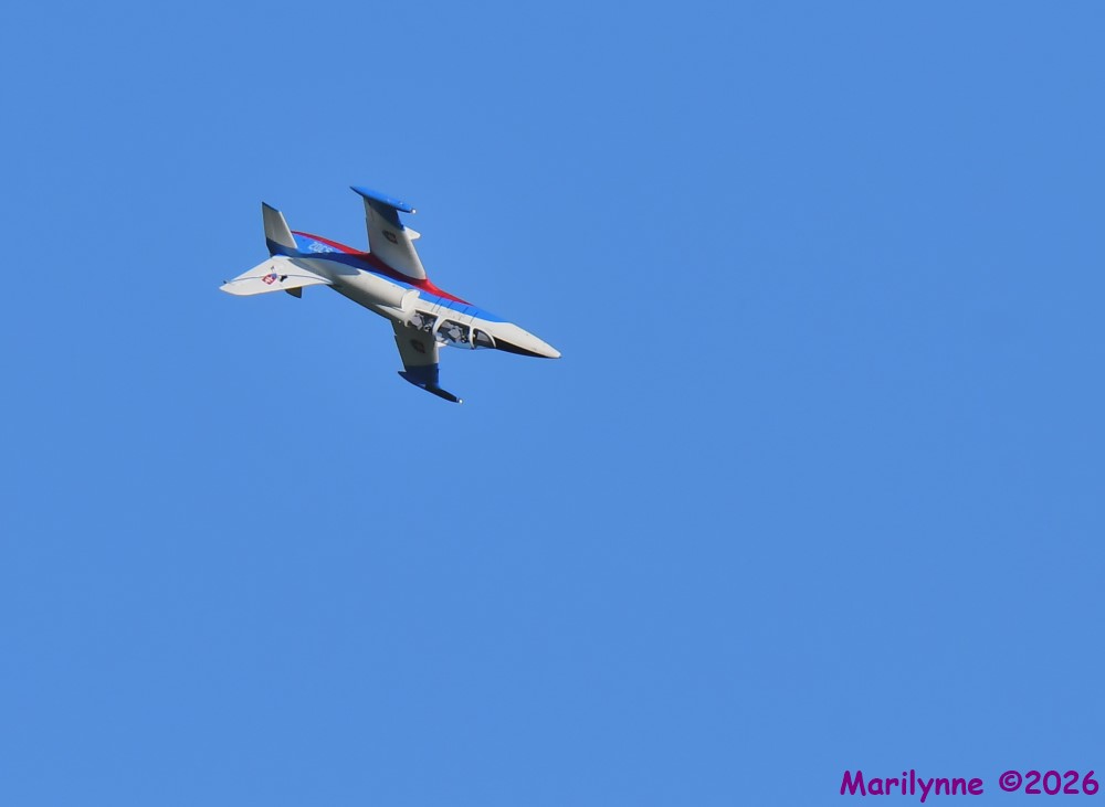 DSC_3922_001.JPG