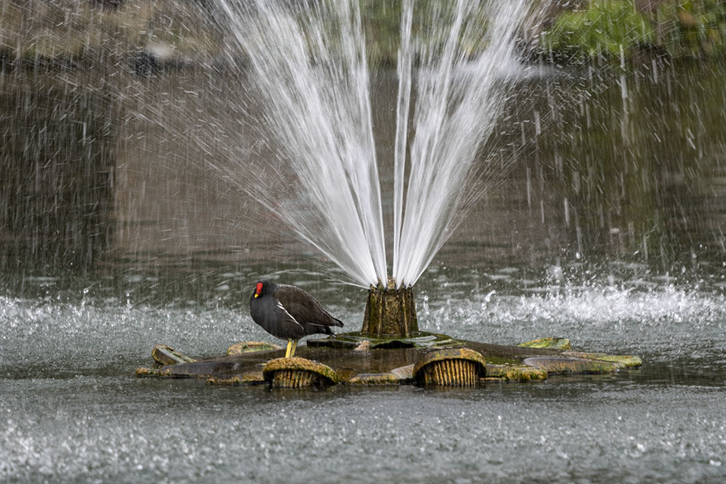 DSC_3924.jpg
