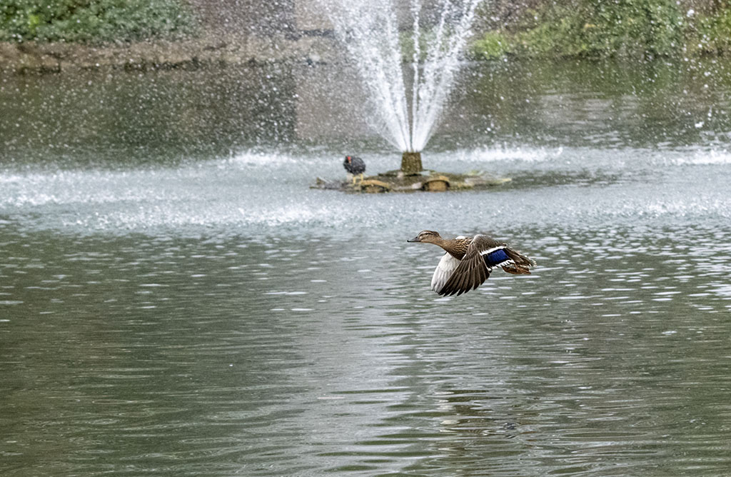 DSC_3925.jpg