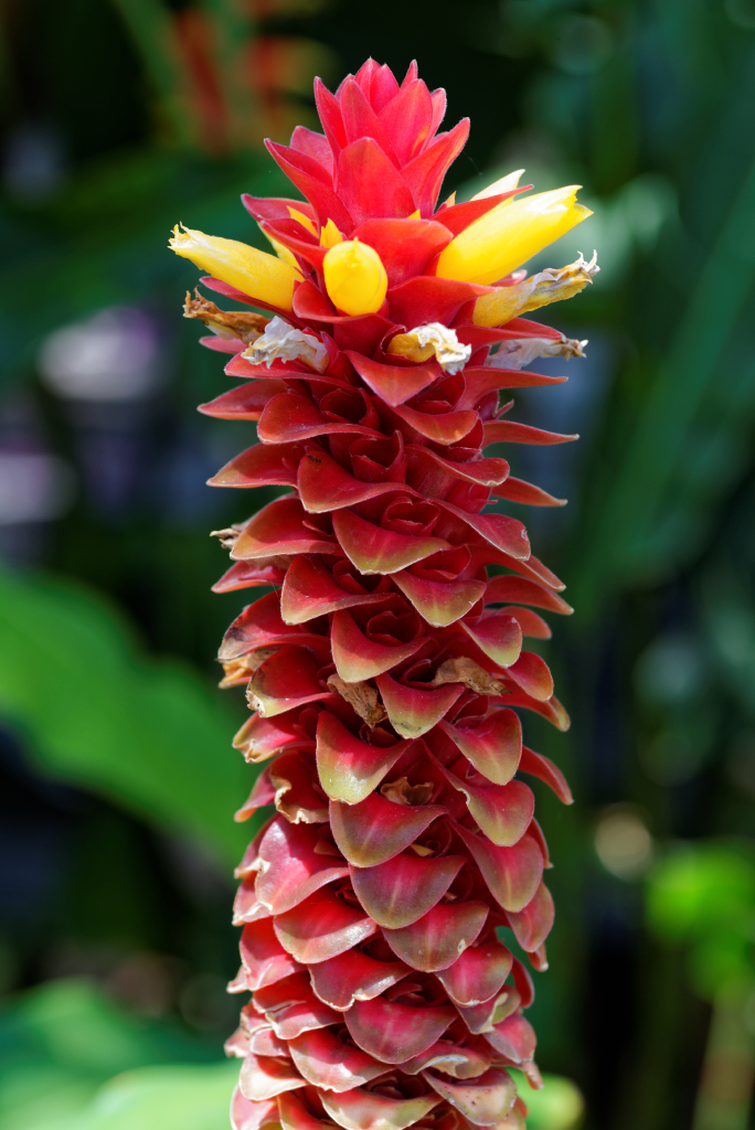 DSC_3925_DxO.jpg