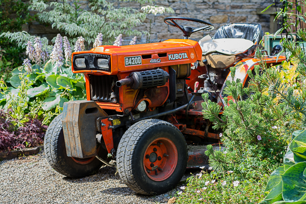 DSC_3928.jpg