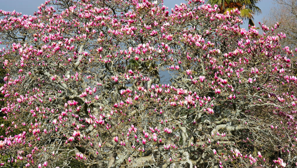 DSC_3934.jpg