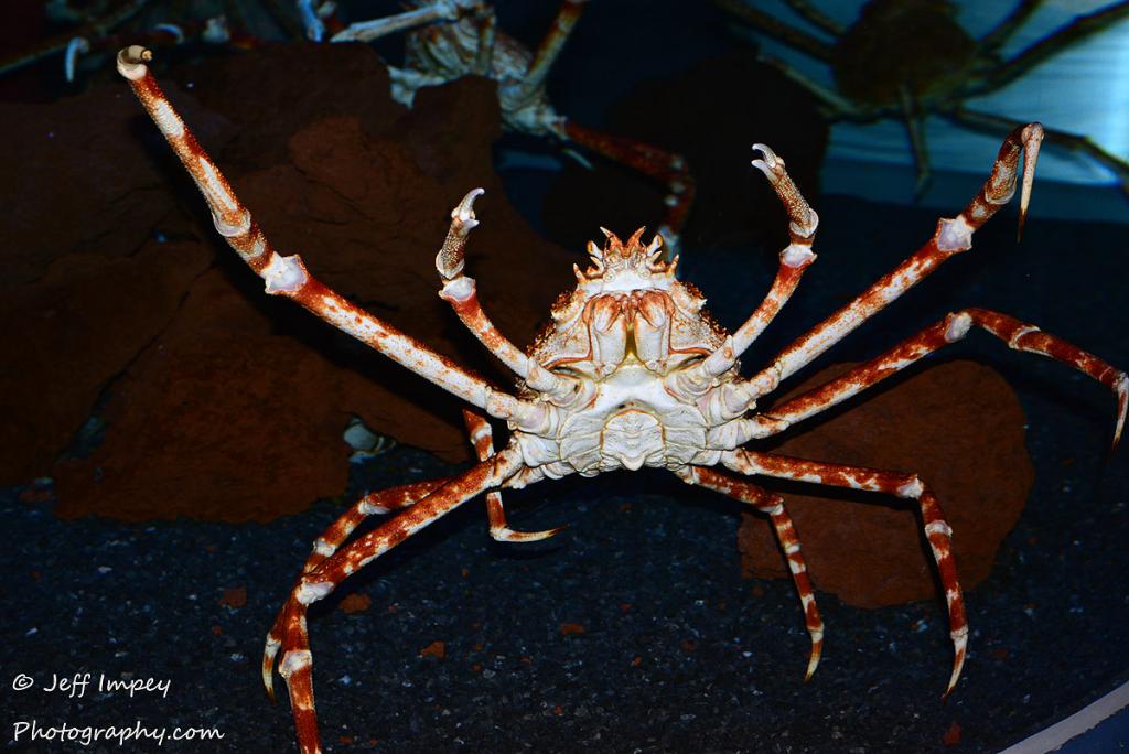 DSC_3936.jpg